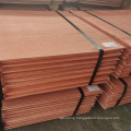 99.99% Copper Cathode High Quality Hot Sale